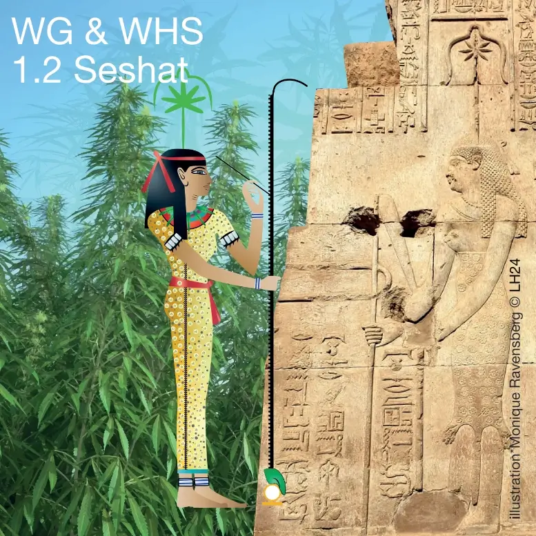 WG & WHS 1.2 Seshat