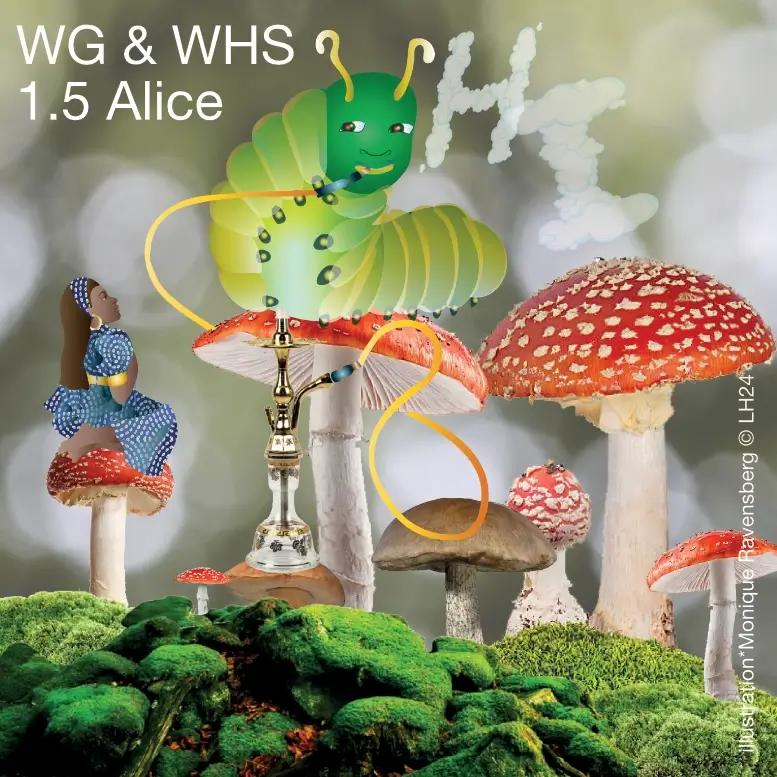 WG & WHS 1.5 Alice