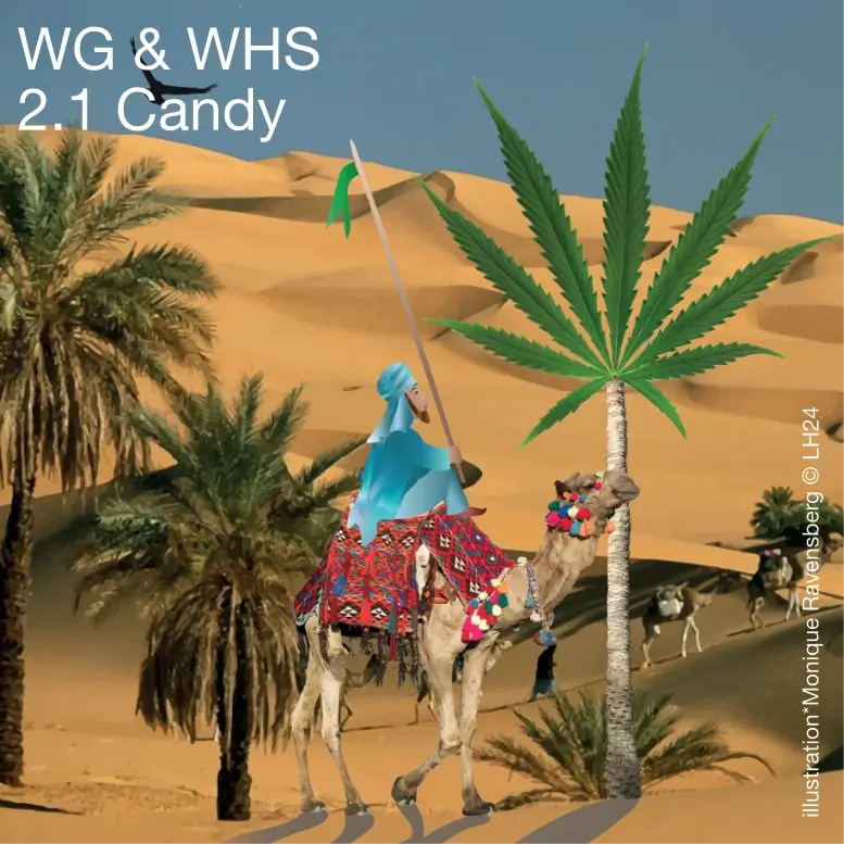 WG & WHS 2.1 Candy