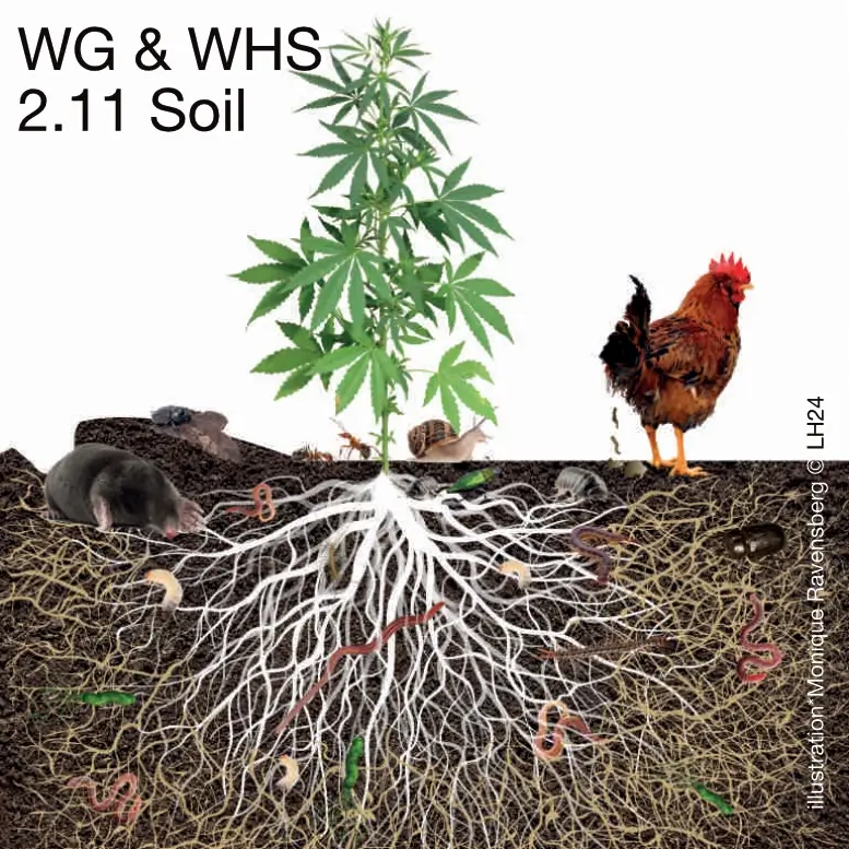 WG & WHS 2.11 Soil