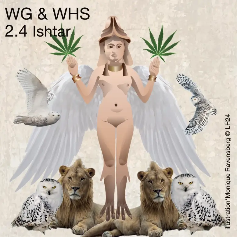 WG & WHS 2.4 Ishtar
