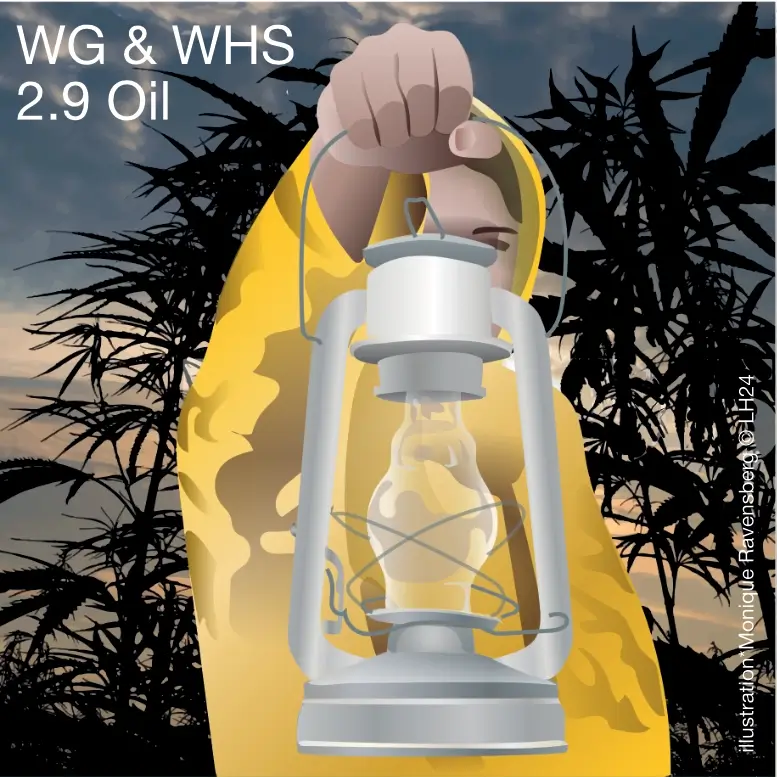 WG & WHS 2.9 Oil