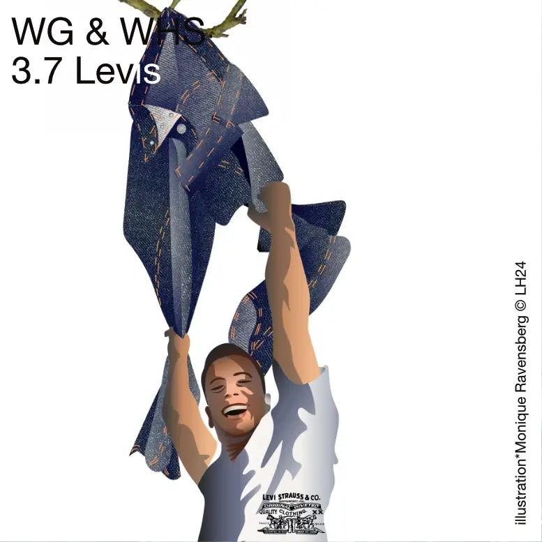 WG & WHS 3.7 Levis