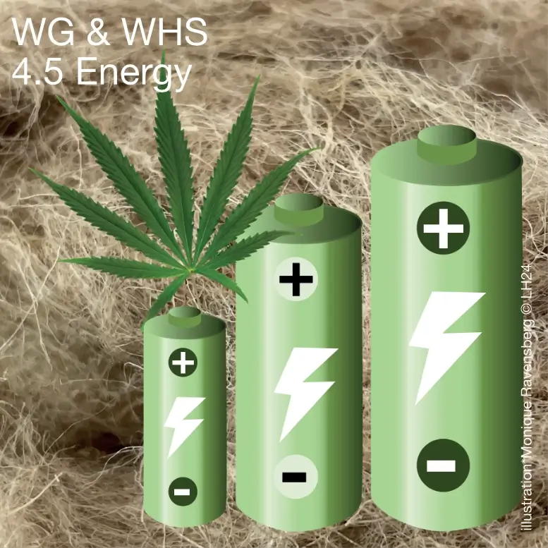 WG & WHS 4.5 Energy