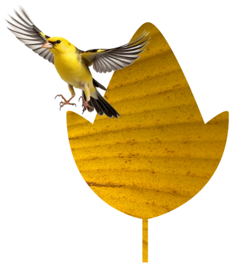 WG25web-leaf02-bird